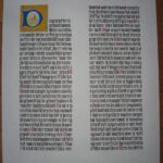 IMG_0517 (1)